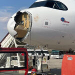 Un zbor Iberia către Paris, întors rapid în Madrid după o coliziune cu un vultur în aer 2 video un avion iberia spre paris s a intors de urgenta la madrid dupa ce a lovit un vultur in zbor 6891e69175760