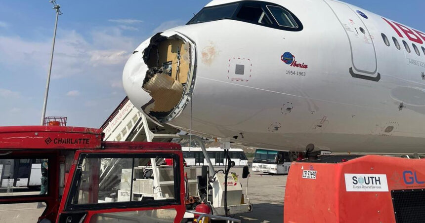 Un zbor Iberia către Paris, întors rapid în Madrid după o coliziune cu un vultur în aer 1 video un avion iberia spre paris s a intors de urgenta la madrid dupa ce a lovit un vultur in zbor 6891e69175760
