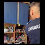 Capturarea unui șarpe rar de către jandarmii din Mangalia, descoperit într-o locuință din Cumpăna 3 video un sarpe dintr o specie rara si protejata capturat de jandarmii de la detasamentul mangalia intr o casa din cumpana 689753770a3c0