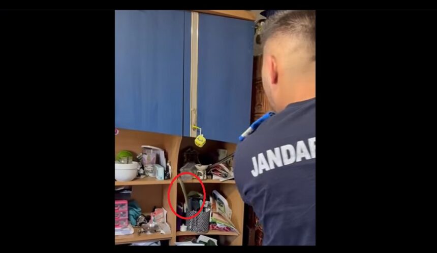Capturarea unui șarpe rar de către jandarmii din Mangalia, descoperit într-o locuință din Cumpăna 1 video un sarpe dintr o specie rara si protejata capturat de jandarmii de la detasamentul mangalia intr o casa din cumpana 689753770a3c0