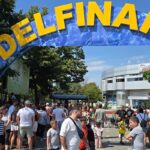 Aflux impresionant de spectatori la spectacolele de la Delfinariul din Constanța 2 video val de vizitatori la reprezentatiile de la delfinariu constanta 6894fca4ef6a9