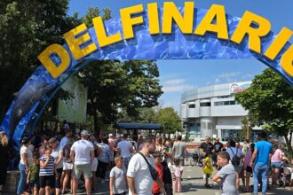 video val de vizitatori la reprezentatiile de la delfinariu constanta 6894fca4ef6a9