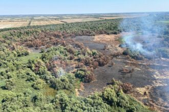 video vesti bune incendiul violent din delta dunarii zona sireasa a fost lichidat elicopterul black hawk a facut peste 50 de aruncari de apa 68a4a0fba48a8