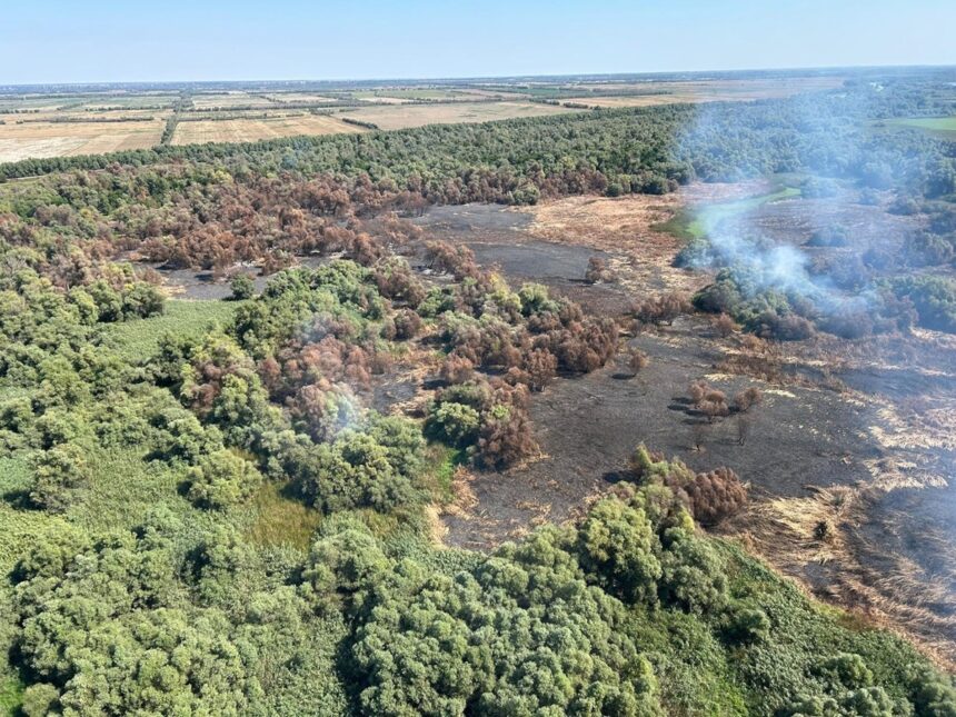 Vești îmbucurătoare! Incendiul devastator din Delta Dunării, în zona Sireasa, a fost stins! Elicopterul Black Hawk a efectuat mai mult de 50 de intervenții cu apă. 1 video vesti bune incendiul violent din delta dunarii zona sireasa a fost lichidat elicopterul black hawk a facut peste 50 de aruncari de apa 68a4a0fba48a8