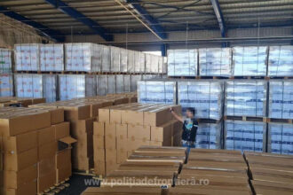 videofoto captura record in portul constanta tigari de contrabanda in valoare de 4 milioane de euro ascunse in role de hartie 689c4f72251d6