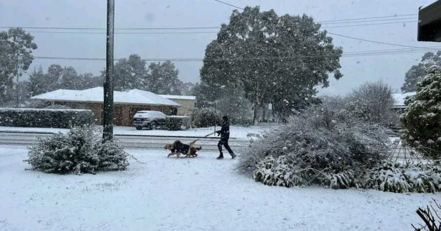 Fenomen uluitor în Australia: cel mai gros strat de zăpadă din ultimele decenii, generat de condiții meteorologice extreme! 1 videofoto fenomen rar aparut in conditii meteo extreme cel mai gros strat de zapada din ultimele decenii in australia 688f5c3551159