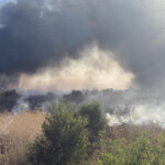 Flăcările din Ilfov: Zeci de oameni evacuați din cauza incendiului de vegetație ce amenință locuințele din zonă 3 videofoto incendiu de vegetatie din ilfov au fost evacuate zeci de persoane existand pericolul de propagare la case 689f58d5c0884