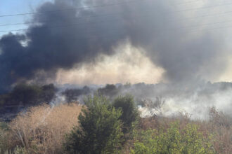videofoto incendiu de vegetatie din ilfov au fost evacuate zeci de persoane existand pericolul de propagare la case 689f58d5c0884
