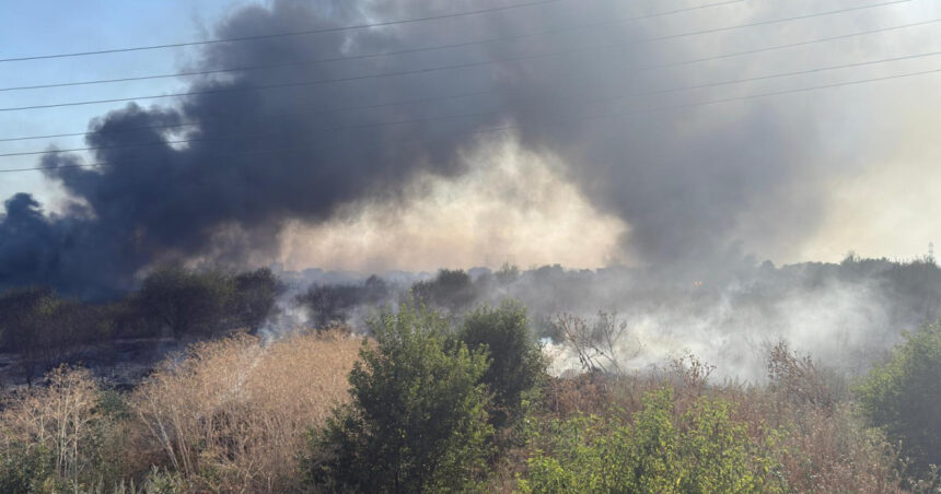 Flăcările din Ilfov: Zeci de oameni evacuați din cauza incendiului de vegetație ce amenință locuințele din zonă 1 videofoto incendiu de vegetatie din ilfov au fost evacuate zeci de persoane existand pericolul de propagare la case 689f58d5c0884