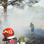 Pompierii români, în misiune eroică în Grecia pentru combaterea incendiilor de vegetație. O provocare pe cât de grea, pe atât de nobilă! 3 videofoto pompierii romani trimisi in grecia la stingerea incendiilor de vegetatie salvatorii au o misiune dificila 689648161f943
