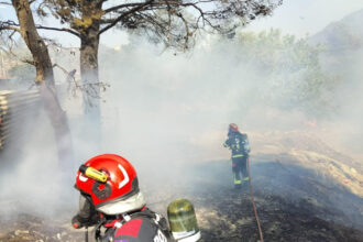 videofoto pompierii romani trimisi in grecia la stingerea incendiilor de vegetatie salvatorii au o misiune dificila 689648161f943