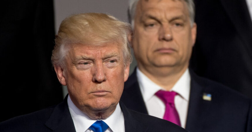 Viktor Orban își exprimă nemulțumirea lui Donald Trump în legătură cu ofensiva Ucrainei asupra conductei rusești Drujba: „O acțiune extrem de ostilă!” 1 viktor orban i se plange lui donald trump de atacul ucrainei asupra conductei rusesti drujba o miscare foarte neprietenoasa 68a87724150c7