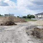 Autoritățile locale, constrânse de instanță să igienizeze o stradă din Compozitori și să îngrijească arborii, după sesizările cetățenilor 3 administratia locala obligata prin hotarare judecatoreasca sa salubrizeze o strada din compozitori si sa toaleteze copacii in urma reclamatiilor unor locuitori 68b4ca10c7213