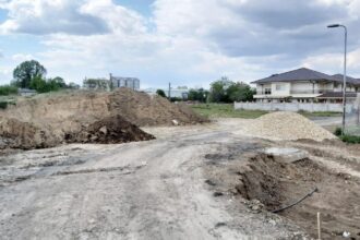 administratia locala obligata prin hotarare judecatoreasca sa salubrizeze o strada din compozitori si sa toaleteze copacii in urma reclamatiilor unor locuitori 68b4ca10c7213