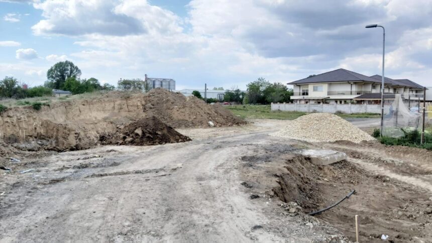 Autoritățile locale, constrânse de instanță să igienizeze o stradă din Compozitori și să îngrijească arborii, după sesizările cetățenilor 1 administratia locala obligata prin hotarare judecatoreasca sa salubrizeze o strada din compozitori si sa toaleteze copacii in urma reclamatiilor unor locuitori 68b4ca10c7213