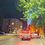 Autoritățile locale sunt nevoite să relanseze licitația de 73 de milioane de lei pentru combaterea dăunătorilor și igienizarea spațiilor publice 3 administratia locala obligata sa reia licitatia de 73 de milioane de lei pentru dezinsectie si deratizare 68b7857c2661d