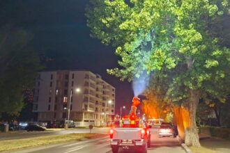 administratia locala obligata sa reia licitatia de 73 de milioane de lei pentru dezinsectie si deratizare 68b7857c2661d
