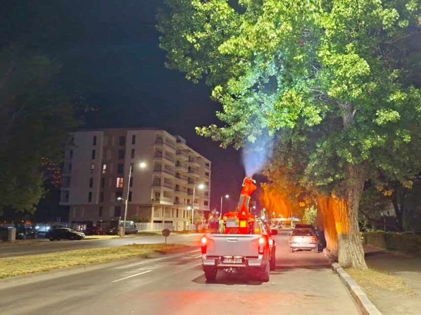 Autoritățile locale sunt nevoite să relanseze licitația de 73 de milioane de lei pentru combaterea dăunătorilor și igienizarea spațiilor publice 1 administratia locala obligata sa reia licitatia de 73 de milioane de lei pentru dezinsectie si deratizare 68b7857c2661d