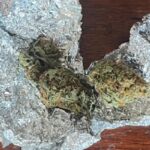 Tânăr surprins de jandarmi având asupra sa droguri în orașul Constanța 2 adolescent depistat de jandarmi cu substante interzise in municipiul constanta 68c804b096fe6