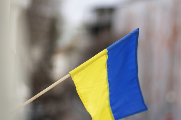 ajutorul militar al romaniei pentru ucraina secret de stat ce spune ministrul apararii 68c584d7d0594