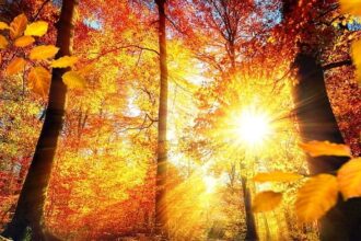 astazi vremea va fi frumoasa in dobrogea dar maine se va raci si va ploua pe arii extinse 68c91375672f0