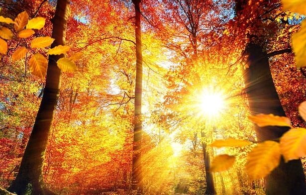 astazi vremea va fi frumoasa in dobrogea dar maine se va raci si va ploua pe arii extinse 68c91375672f0