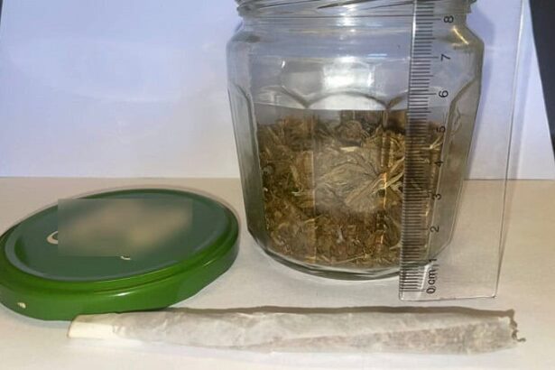 barbat depistat in vama veche cu un borcan cu substante posibil psihoactive 68b6fd6ad422a