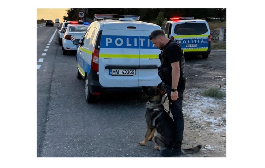 Capturat pe Aeroportul Internațional Mihail Kogălniceanu: Bărbat din Hârșova, pe urmele autorităților germane! Află motivele! 1 barbat din harsova prins pe aeroportul international mihail kogalniceanu era cautat de autoritatile din germania iata de ce 68d13832cc0d7