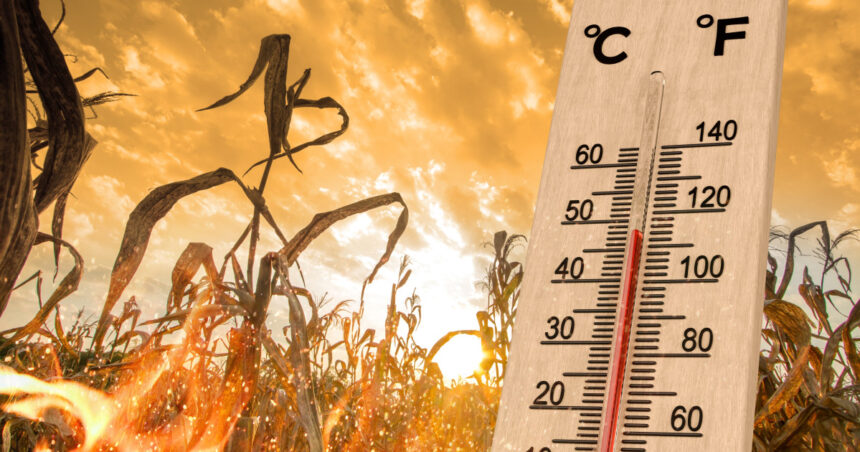 Prețul extremelor climatice: Impactul caniculei, secetei și inundațiilor din vara anului 2025 asupra Europei și țările cele mai afectate 1 cat au costat valurile de canicula seceta si inundatiile din vara anului 2025 din europa si care au fost cele mai afectate tari 68c7bc0c01f9c
