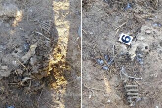 cazul oilor ingropate la smardan amanat de judecatorii din constanta cand a fost programat noul termen 68cbe0c076462
