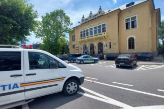 cea mai sincera audiere din instanta la constanta beau zilnic dupa program cum face orice om dau mancare la furnici 68c7350b732d4