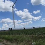 Constanța: Proiectul de parc eolian de la Amzacea, aprobat fără o evaluare ecologică – descoperă cine se află în spatele investiției! 2 constanta proiectul parcului eolian de la amzacea avizat fara evaluarea impactului asupra mediului vezi cine este investitorul 68c2fa6d8e5f7