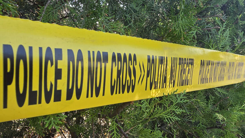 Tragedie în Murfatlar: o soție își curmă viața partenerului printr-un atac fatal 1 crima in murfatlar o femeie si a injunghiat mortal sotul 68d63ee46400e