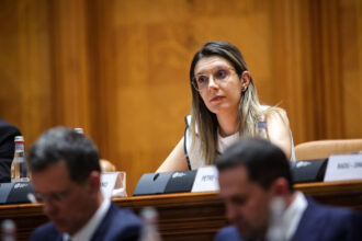 deputatii se vor pronunta azi prin vot asupra motiunii simple depuse de aur impotriva ministrului mediului diana buzoianu 68d3b219aa689