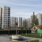 Diana Buzoianu dezvăluie impactul construcțiilor din parcurile Capitalei: „Când profitul primează, sănătatea a milioane de oameni este sacrificată” 2 exclusiv diana buzoianu despre constructiile din parcurile capitalei in goana dupa profit se arunca la gunoi sanatatea a milioane de oameni 68dc3ca8b88cf