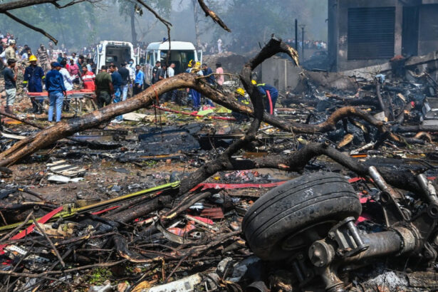 familii ale unor victime ale accidentului air india dau in judecata firmele boeing si honeywell 68ccd7b41ebca