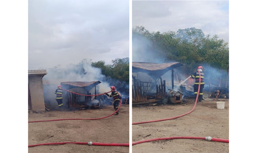 Incendiu devastator în Tulcea: Flăcările mistuie o clădire în Mihai Bravu! 1 foto alerta in judetul tulcea arde un imobil din localitatea mihai bravu 68c2866a1f4d2