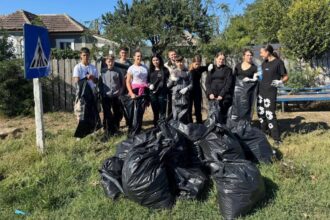 foto elevii din comuna garliciu s au mobilizat exemplar de ziua de curatenie nationala pentru un mediu mai curat 68cee28571bd0