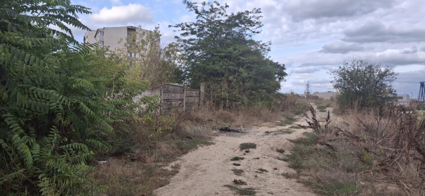 Aleea Scafandrilor din Constanța: Între blocuri, un peisaj dezolant de gunoaie și vegetație necontrolată 1 foto gunoaie si vegetatie salbatica langa blocuri aleea scafandrilor din constanta transformata intr un focar de mizerie 68d606fa76ea6