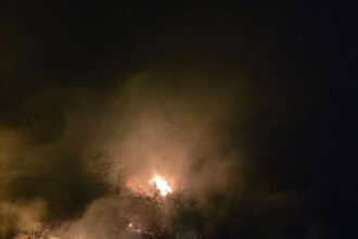 foto incendiu de vegetatie intre canlia si dervent noua focare descoperite pe o suprafata de 30 de hectare 68d4d14e0f91f