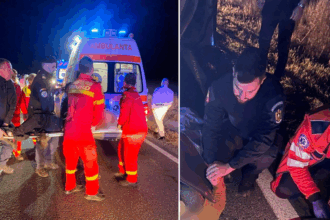 foto jandarmii au acordat primul ajutor victimelor accidentului de pe dn 22 din zona palazu mic 68d991accf8da
