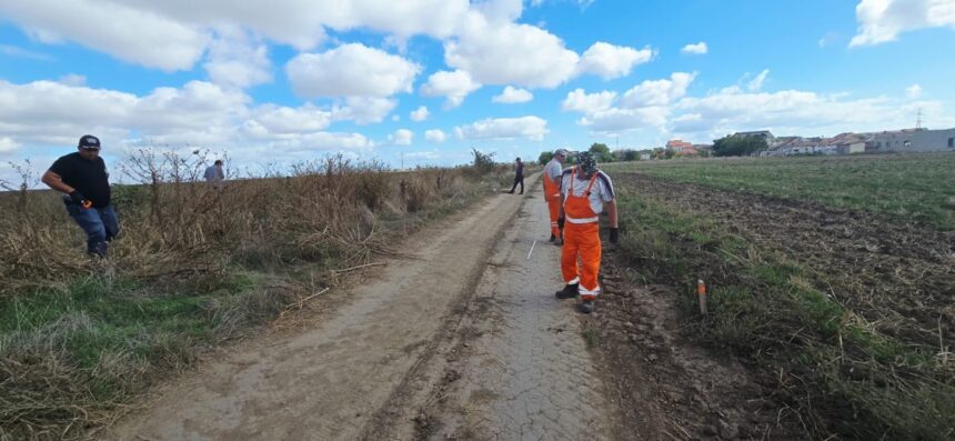 Primăria Cumpăna dă start lucrărilor pentru conectarea străzii Prelungirea Tractorului la A4! 1 foto primaria cumpana anunta inceperea lucrarilor de trasare a strazii prelungirea tractorului care va face legatura cu a4 68d2a23d54420