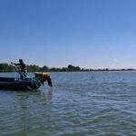 Alertă din partea experților de la Institutul de Cercetare Marină Grigore Antipa, în urma unei expediții pe Dunăre! O specie de pește renumită se află în pericol! 2 foto specialistii institutului de cercetare marina grigore antipa avertizare de ultim moment dupa o expeditie pe dunare este vizata o cunoscuta specie de peste 68c968c5349ee