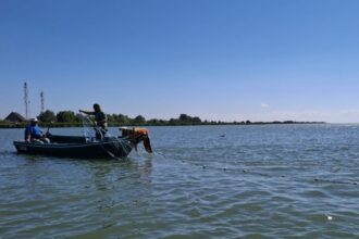 foto specialistii institutului de cercetare marina grigore antipa avertizare de ultim moment dupa o expeditie pe dunare este vizata o cunoscuta specie de peste 68c968c5349ee