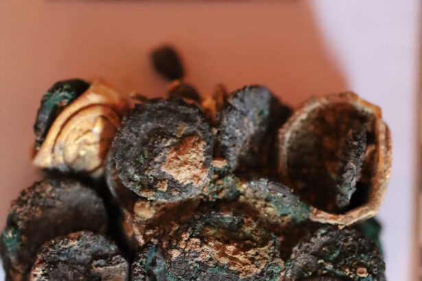 foto tezaur roman descoperit la histria monede si podoabe vechi de 2 000 de ani scoase la lumina 68d0f8ed64c55