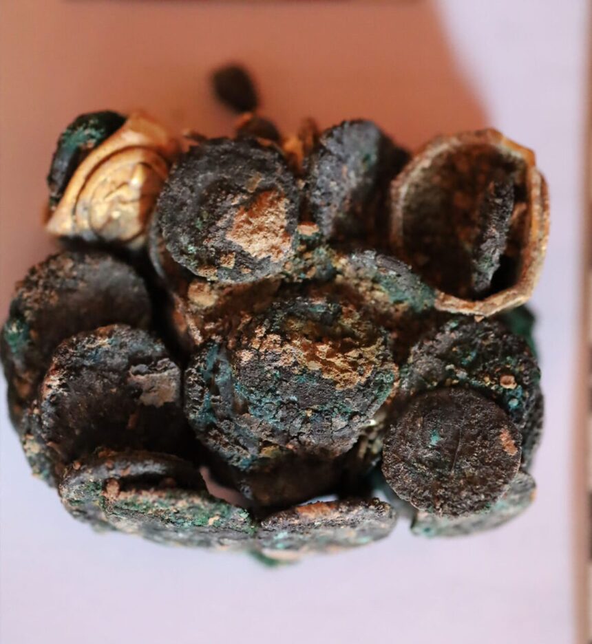 Un tezaur antic dezvăluit la Histria: Monede și bijuterii de acum 2.000 de ani, aduse la suprafață! 1 foto tezaur roman descoperit la histria monede si podoabe vechi de 2 000 de ani scoase la lumina 68d0f8ed64c55
