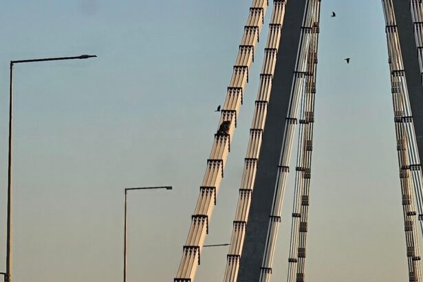 foto un barbat s a cocotat pe podul agigea live pe tiktok e acelasi care ameninta in 2008 ca l arunca in aer 68be7f6792df2