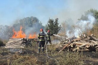 fotovideo incendii in localitatile vacareni si cataloi din judetul tulcea 68d154645ce94