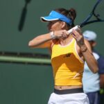 Intervenția americană: Reacția surprinzătoare după dispariția trofeului Soranei Cîrstea în Cleveland 2 galerie foto americanii au intervenit cum au reactionat dupa ce soranei cirstea i a fost furat trofeul din camera la cleveland 68b5aee042cea