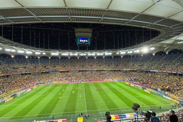 galerie foto cum arata tribunele arenei nationale la meciul romania canada 68bb342657667